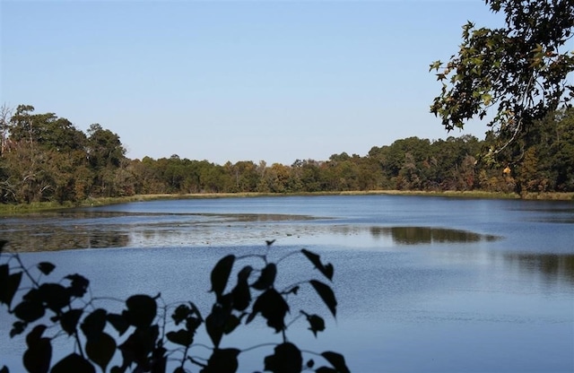 property view of water