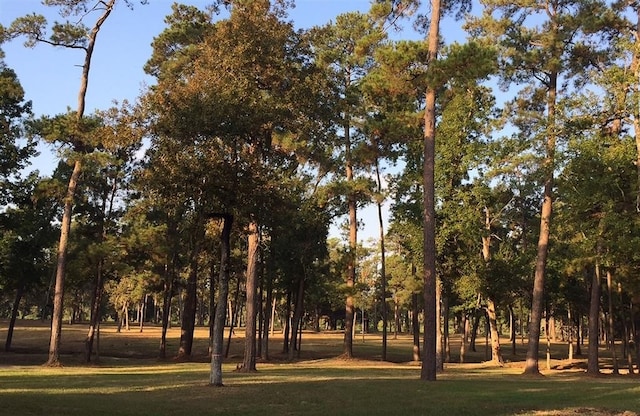 view of local wilderness