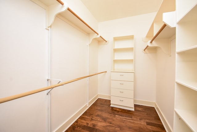 spacious closet featuring dark hardwood / wood-style floors