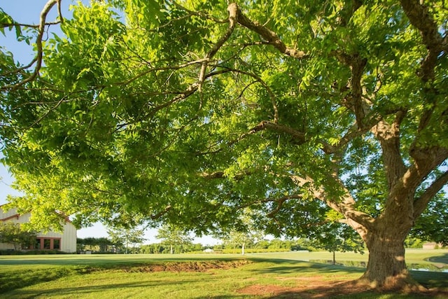 view of home's community with a lawn