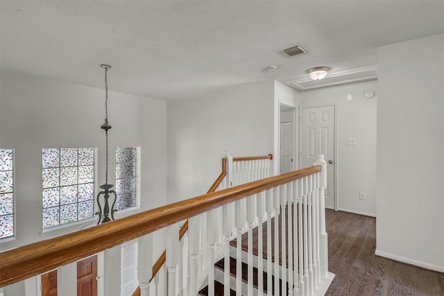 corridor featuring dark hardwood / wood-style floors