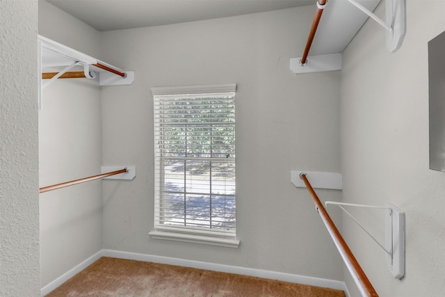 spacious closet featuring light carpet