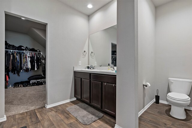 bathroom featuring toilet, vanity, and wood-type flooring