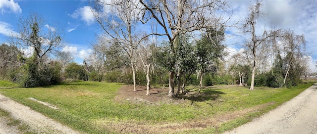 6902 Kidd St, Hitchcock TX, 77563 land for sale