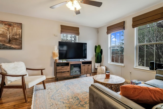 living room with wood-type flooring and ceiling fan