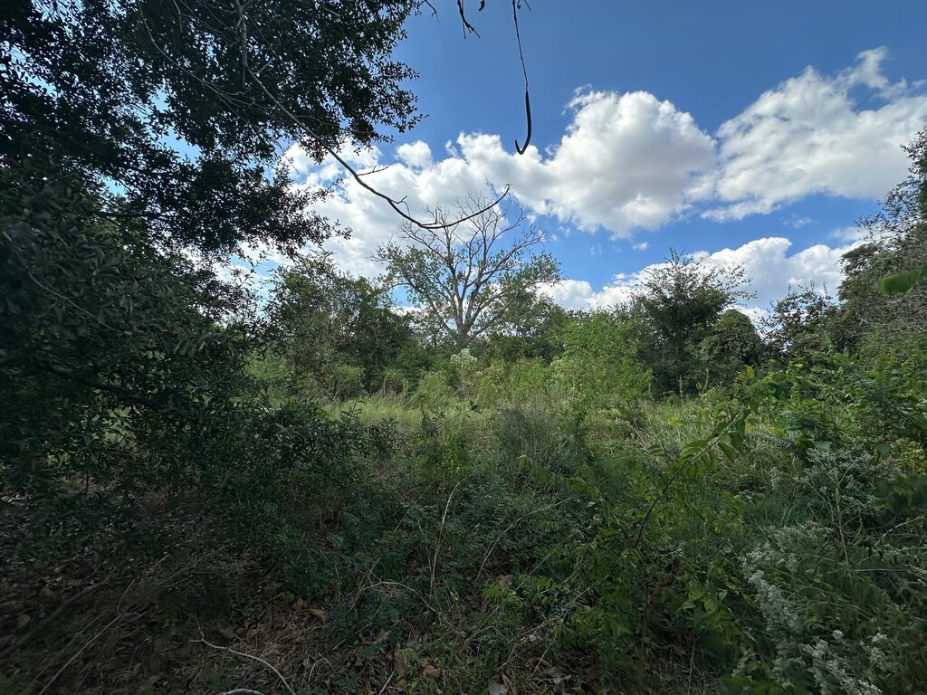 17120 Old Richmond Rd, Sugar Land, TX 77498 - photo 3
