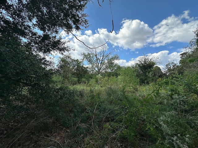 17120 Old Richmond Rd, Sugar Land, TX 77498 - photo 3