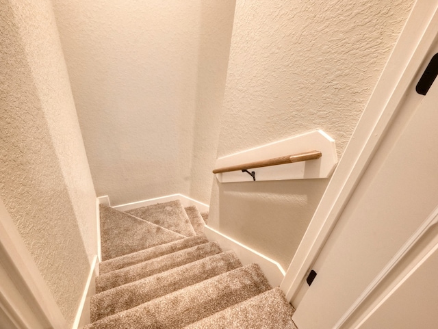 stairs featuring carpet