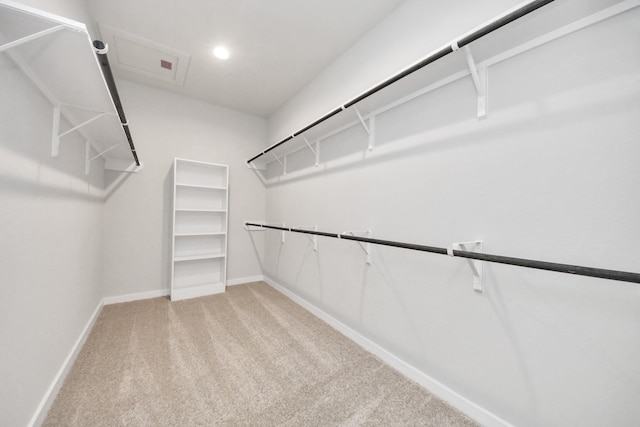 spacious closet with carpet floors