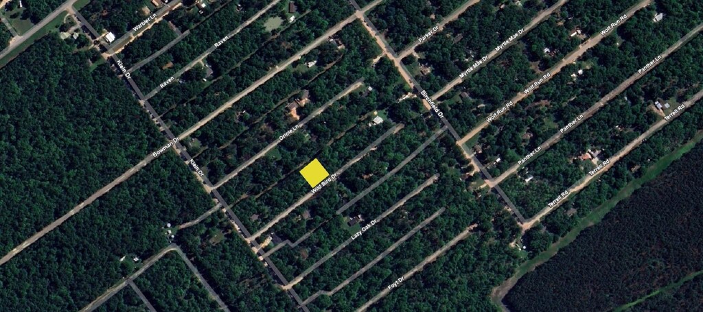TBD Wild Bird, Livingston, TX 77351