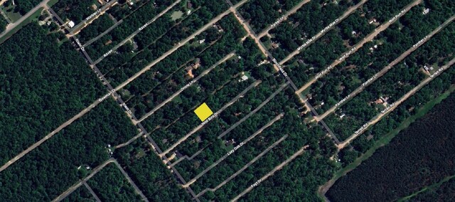 TBD Wild Bird, Livingston, TX 77351