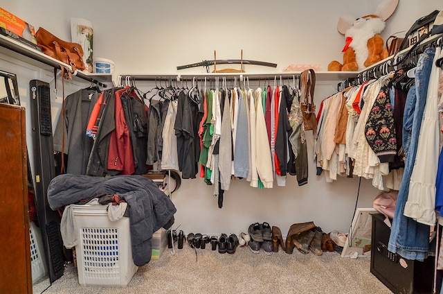 spacious closet with carpet