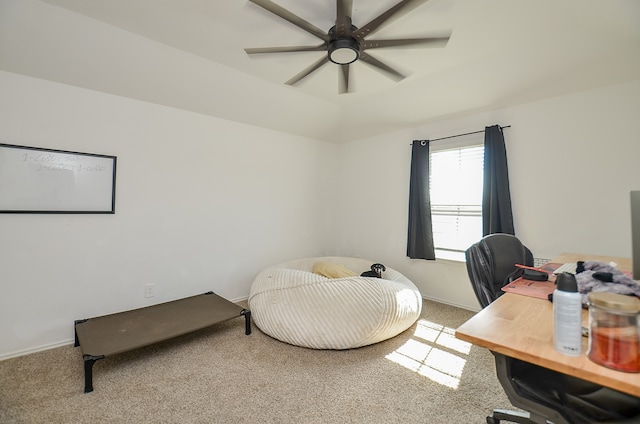 office with carpet and ceiling fan