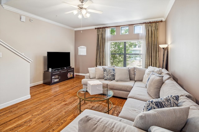 living room with ceiling fan, light hardwood / wood-style floors, and crown molding