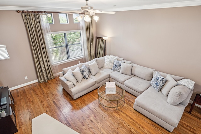 living room with hardwood / wood-style floors, ceiling fan, and crown molding