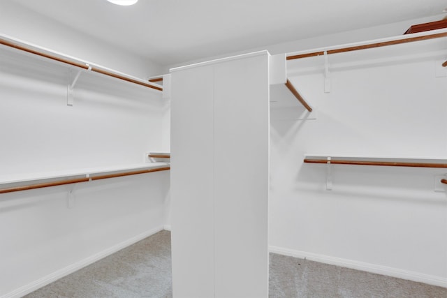 spacious closet with light carpet