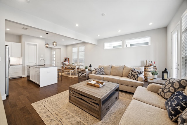 living room featuring dark wood-type flooring and sink