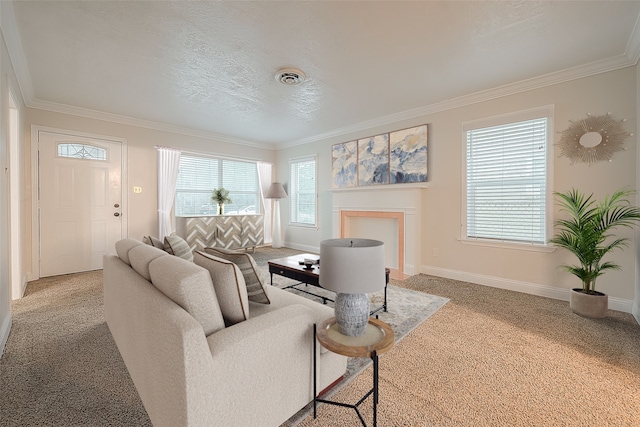 carpeted living room featuring crown molding and a textured ceiling