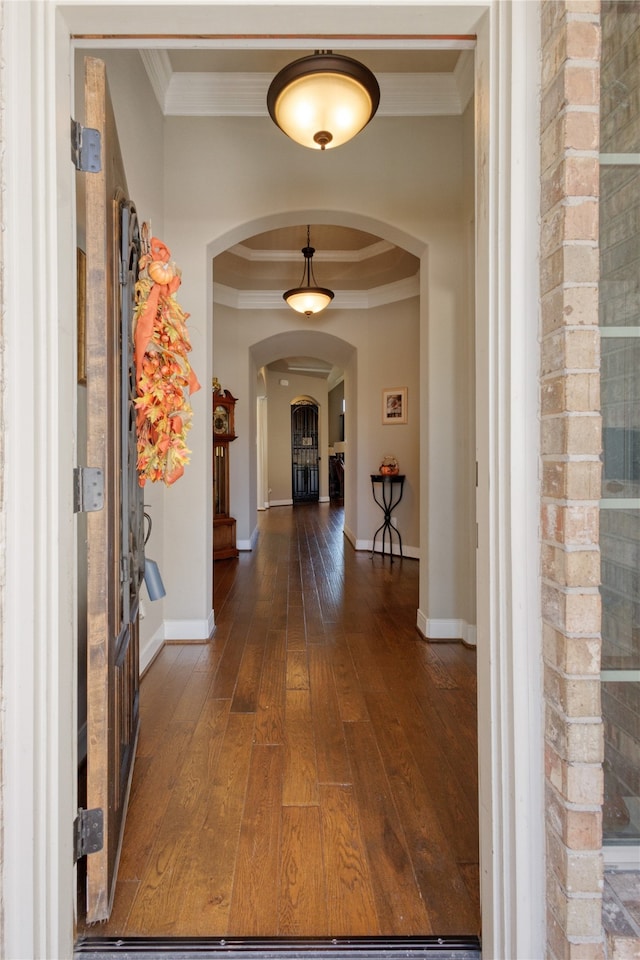 hallway featuring ornamental molding, dark wood-type flooring, and a tray ceiling