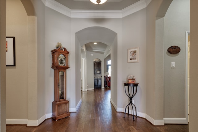 entrance foyer featuring crown molding and dark hardwood / wood-style flooring