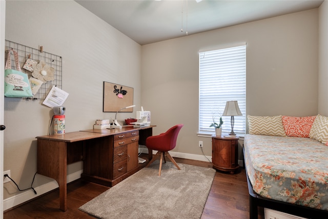 office space featuring dark hardwood / wood-style floors and a healthy amount of sunlight