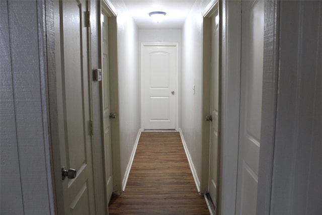 corridor with dark wood-type flooring