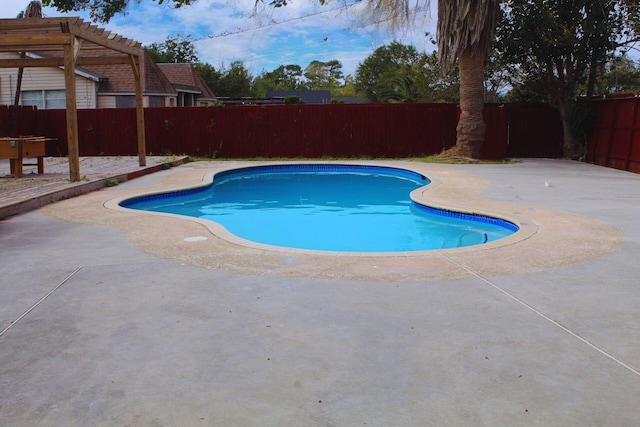 view of swimming pool featuring a pergola and a patio area