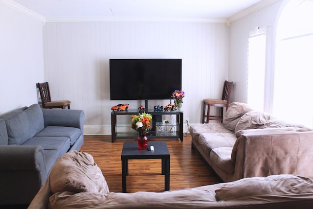 living room featuring crown molding and dark wood-type flooring