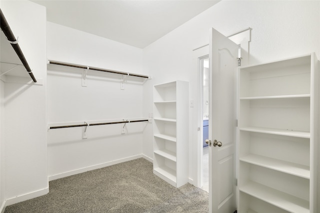 spacious closet with carpet