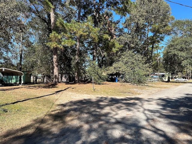 view of yard featuring driveway and a detached carport