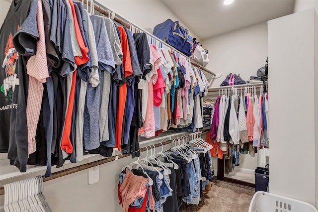 spacious closet featuring carpet floors