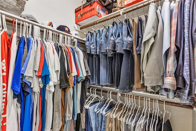 view of spacious closet