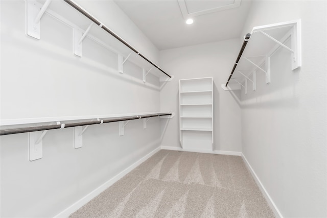 spacious closet featuring carpet