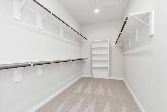 14707 Surfbird Ln, Houston, TX 77049 - spacious closet with light colored carpet
