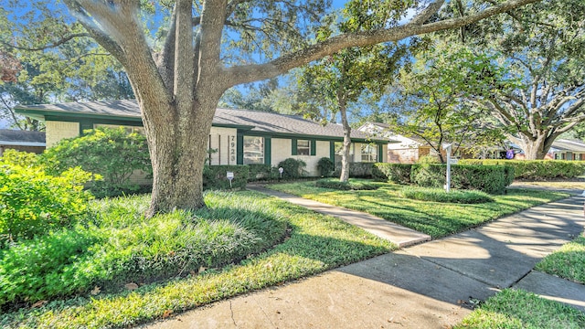 ranch-style home with a front lawn