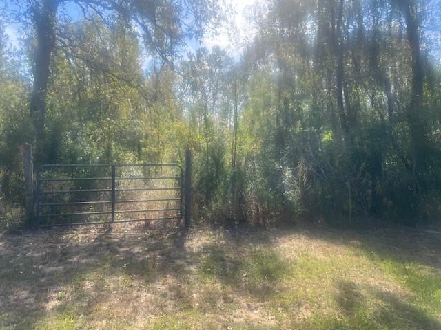 Lot12 Sam Houston, Willis, TX 77378 - photo 2