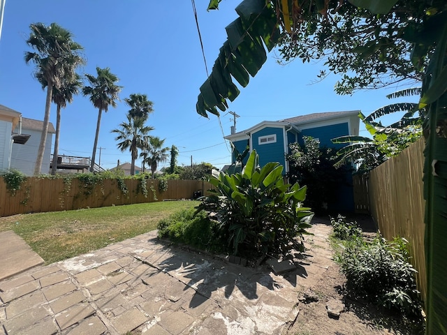 view of yard featuring a patio area