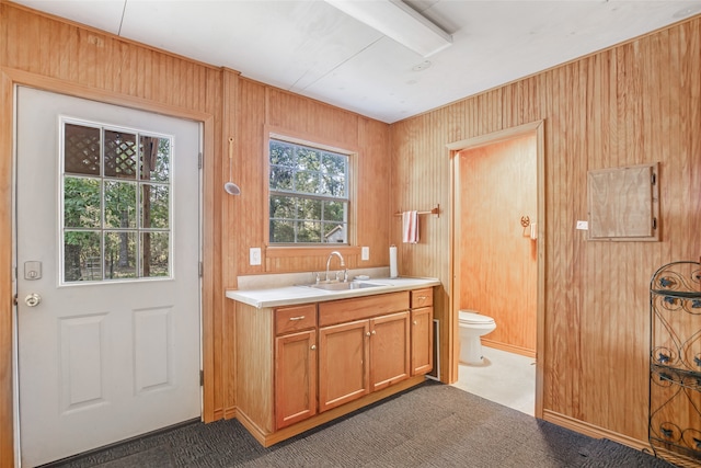 bathroom featuring toilet, vanity, and wooden walls