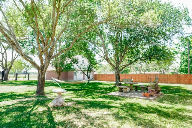 view of yard featuring a patio