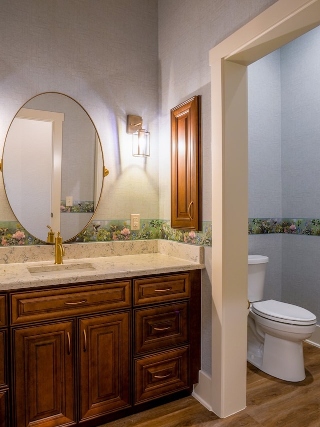 bathroom with vanity, toilet, and wood-type flooring