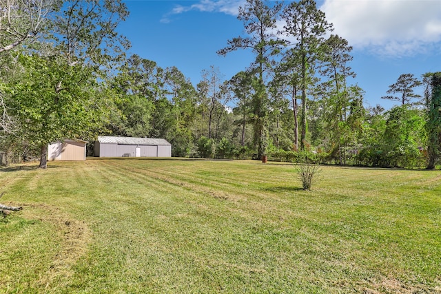 view of yard featuring a shed