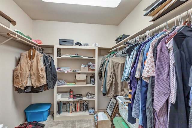 spacious closet featuring carpet flooring