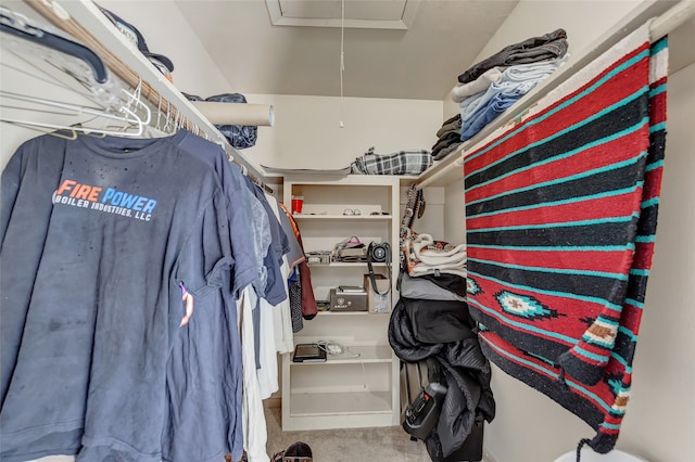 walk in closet featuring carpet floors