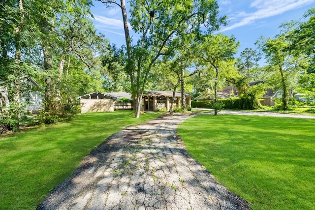 surrounding community featuring a yard