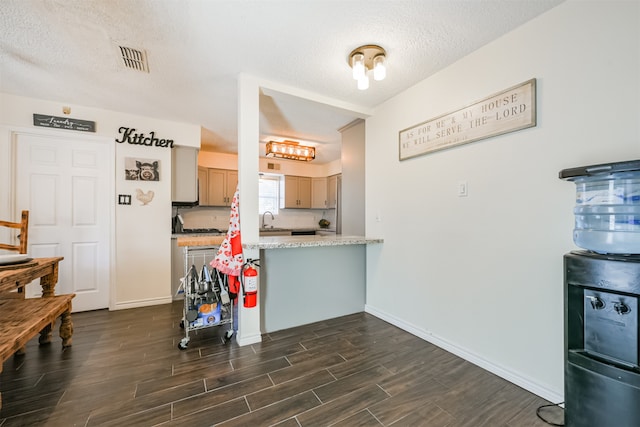 kitchen featuring a textured ceiling, light brown cabinetry, dark wood-type flooring, and sink