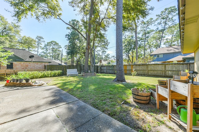 view of yard featuring a patio area