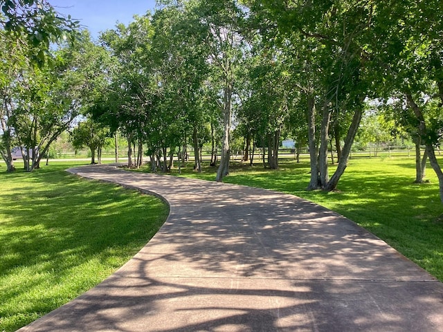 view of property's community featuring a yard