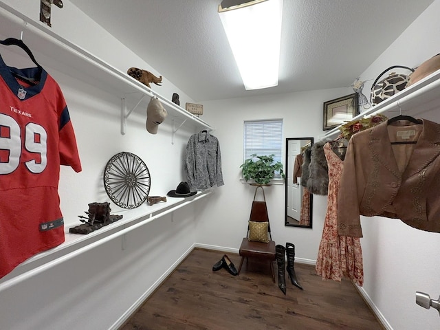 walk in closet featuring dark wood-type flooring