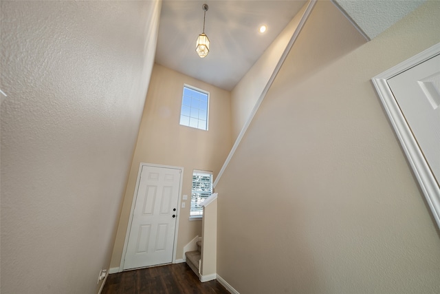 interior space featuring a high ceiling, plenty of natural light, and dark hardwood / wood-style floors