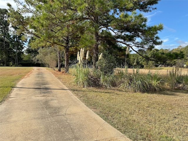 view of road